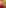 14931 freepik web