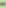 Zackstark neues Logo