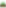 Icon master transparent